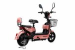 Bicicleta eléctrica Metálica